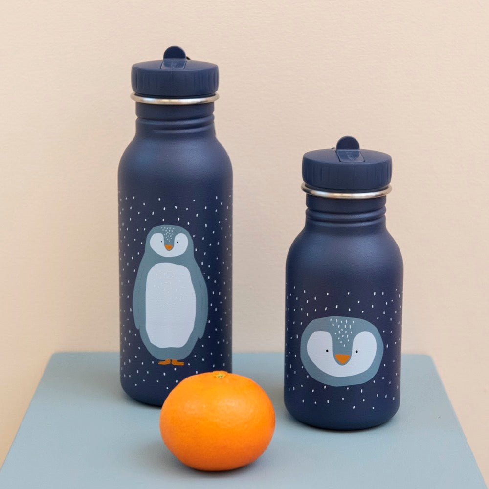 Stainless Steel Bottle 500 ml - Mr Penguin